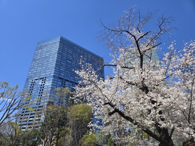 株式会社インターネットG