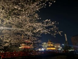 株式会社ステキクリエーションの正社員 企画・宣伝・広報 事務・管理 医療・福祉 その他専門職 飲食・宿泊サービス 医療・福祉の求人情報イメージ2